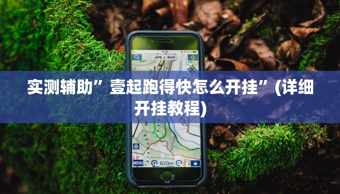 实测辅助”壹起跑得快怎么开挂”(详细开挂教程)