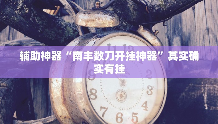 辅助神器“南丰数刀开挂神器”其实确实有挂