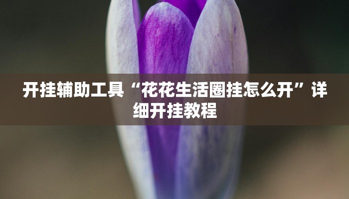 开挂辅助工具“花花生活圈挂怎么开”详细开挂教程