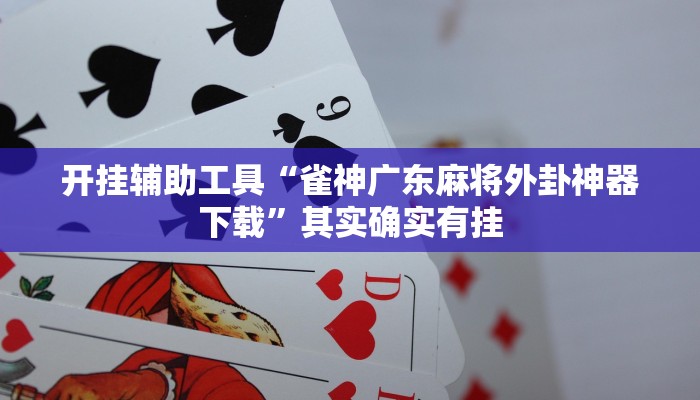 开挂辅助工具“雀神广东麻将外卦神器下载”其实确实有挂