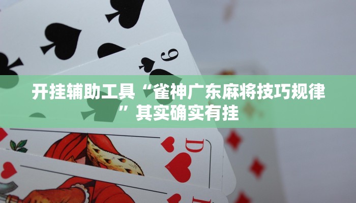 实测辅助”弘运麻将有开挂吗”其实确实有挂