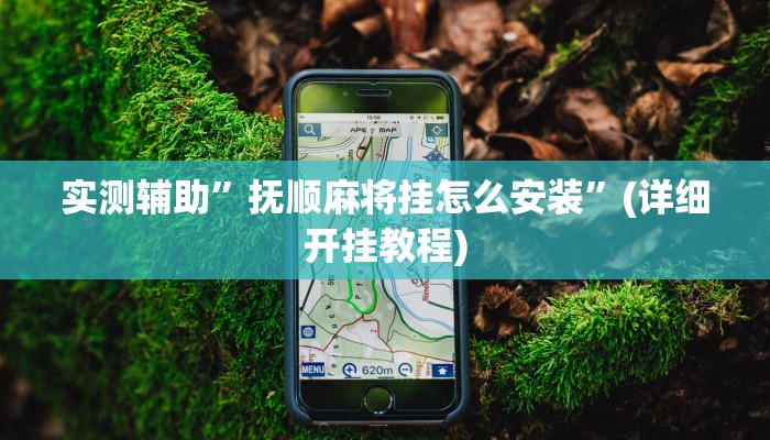实测辅助”抚顺麻将挂怎么安装”(详细开挂教程)