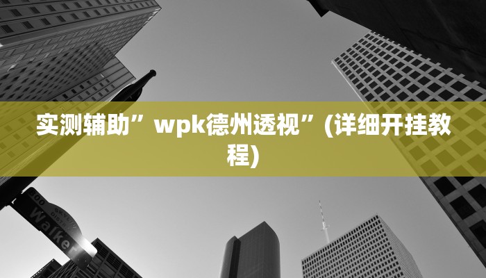实测辅助”wpk德州透视”(详细开挂教程)