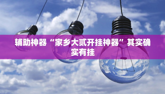 辅助神器“家乡大贰开挂神器”其实确实有挂