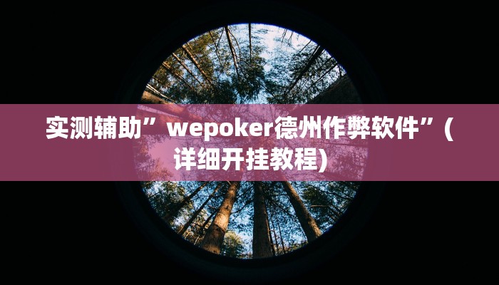 实测辅助”wepoker德州作弊软件”(详细开挂教程)