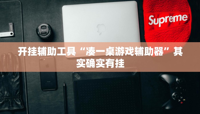 开挂辅助工具“凑一桌游戏辅助器”其实确实有挂