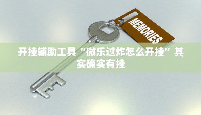 开挂辅助工具“微乐过炸怎么开挂”其实确实有挂