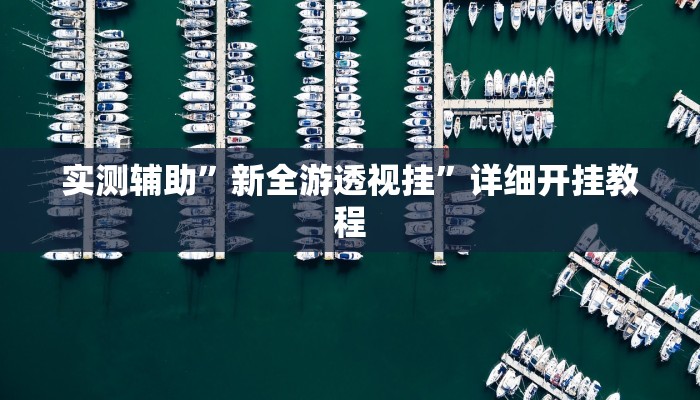 实测辅助”新全游透视挂”详细开挂教程