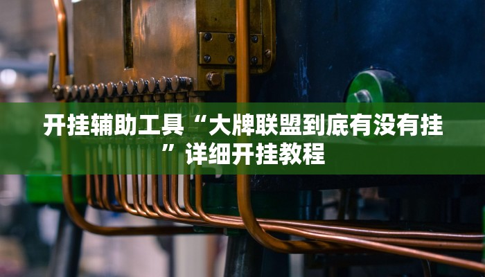 辅助神器“微乐跑得快开挂教程”其实确实有挂