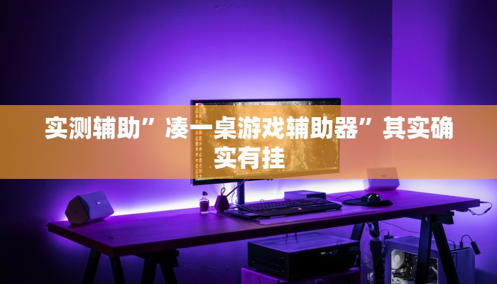实测辅助”凑一桌游戏辅助器”其实确实有挂