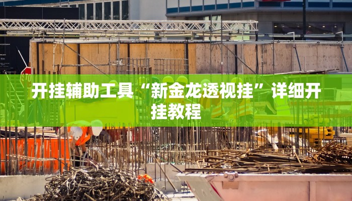 开挂辅助工具“新金龙透视挂”详细开挂教程