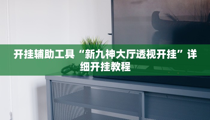 开挂辅助工具“新九神大厅透视开挂”详细开挂教程