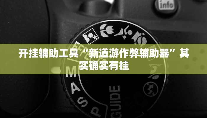 开挂辅助工具“新道游作弊辅助器”其实确实有挂