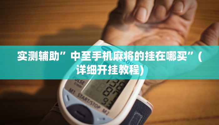 实测辅助”功夫川麻挂先试用后付款”(详细开挂教程)