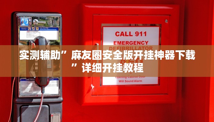 实测辅助”新人皇拼十通用挂”(详细开挂教程)