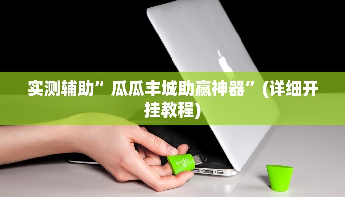 实测辅助”瓜瓜丰城助赢神器”(详细开挂教程)