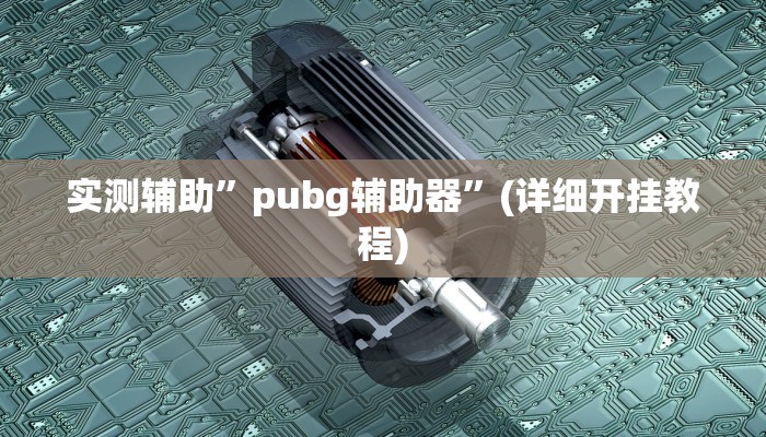 实测辅助”pubg辅助器”(详细开挂教程)