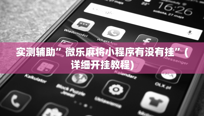 实测辅助”微乐麻将小程序有没有挂”(详细开挂教程)