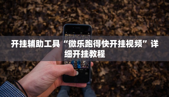 开挂辅助工具“微乐跑得快开挂视频”详细开挂教程