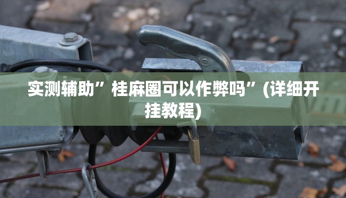 实测辅助”桂麻圈可以作弊吗”(详细开挂教程)