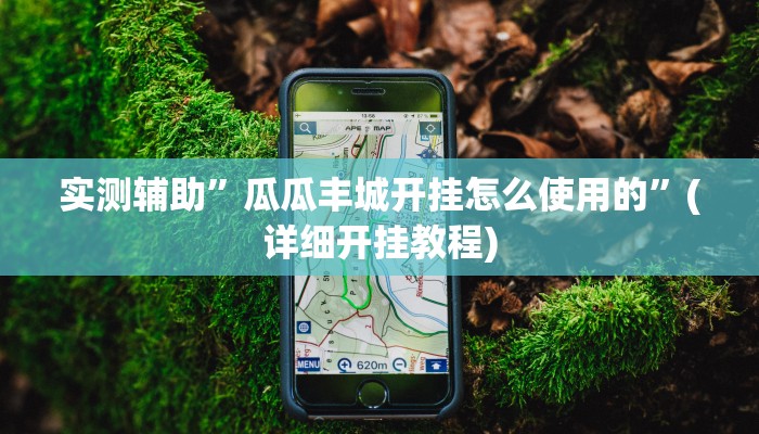 实测辅助”瓜瓜丰城开挂怎么使用的”(详细开挂教程)
