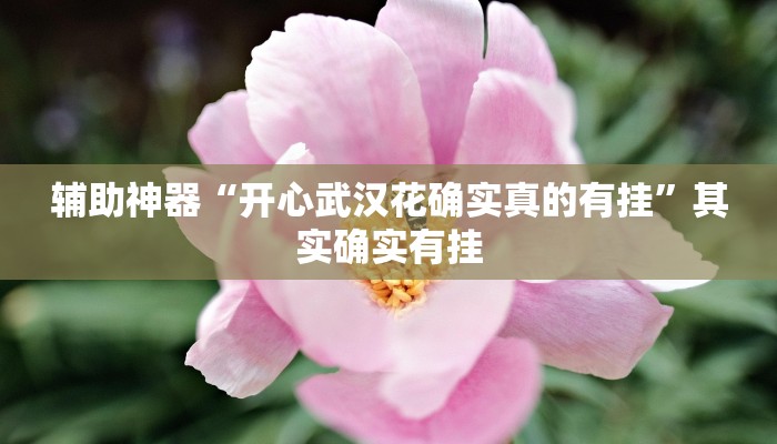 辅助神器“开心武汉花确实真的有挂”其实确实有挂