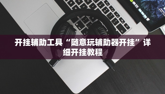 开挂辅助工具“随意玩辅助器开挂”详细开挂教程