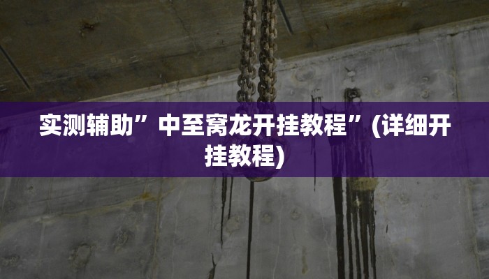 实测辅助”中至窝龙开挂教程”(详细开挂教程)
