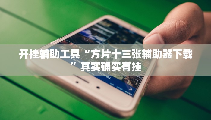 开挂辅助工具“方片十三张辅助器下载”其实确实有挂