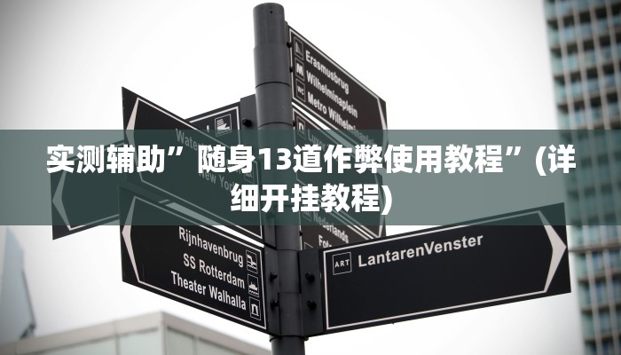 实测辅助”随身13道作弊使用教程”(详细开挂教程)