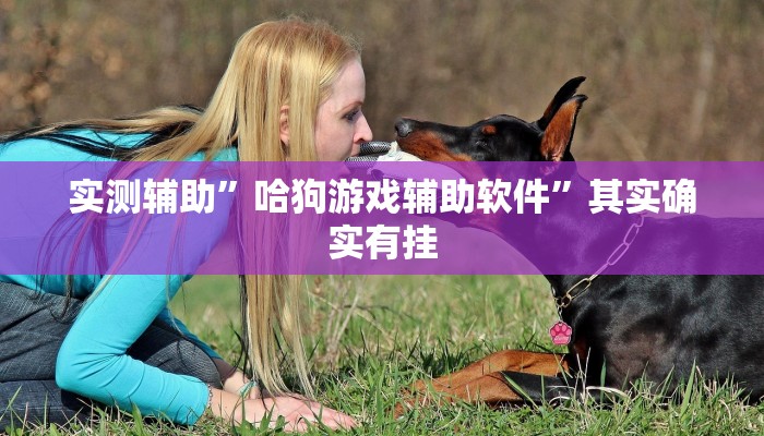 实测辅助”哈狗游戏辅助软件”其实确实有挂