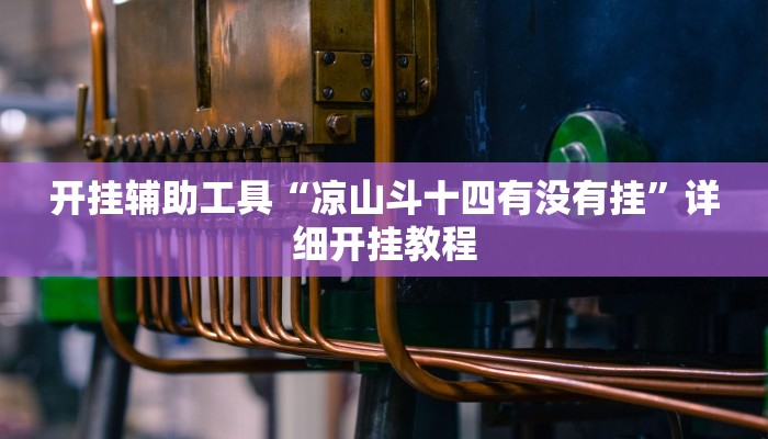 开挂辅助工具“凉山斗十四有没有挂”详细开挂教程