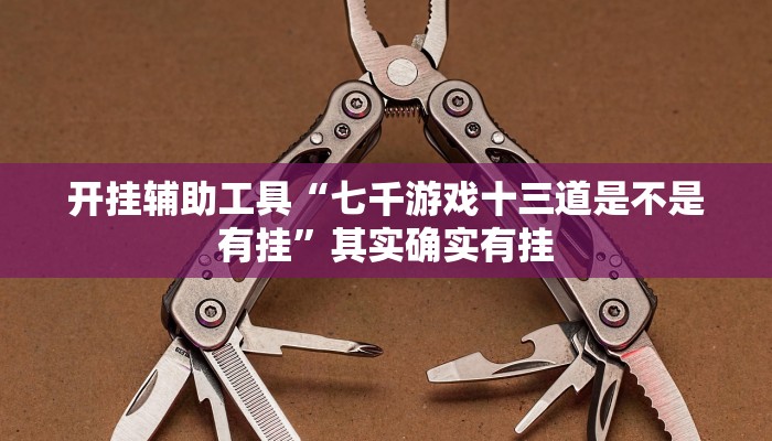 开挂辅助工具“七千游戏十三道是不是有挂”其实确实有挂