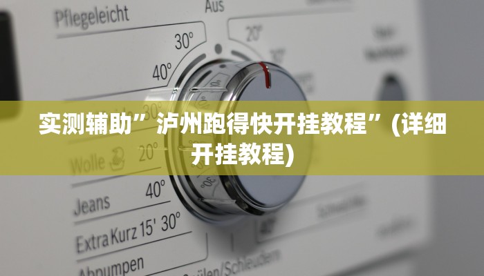 实测辅助”泸州跑得快开挂教程”(详细开挂教程)