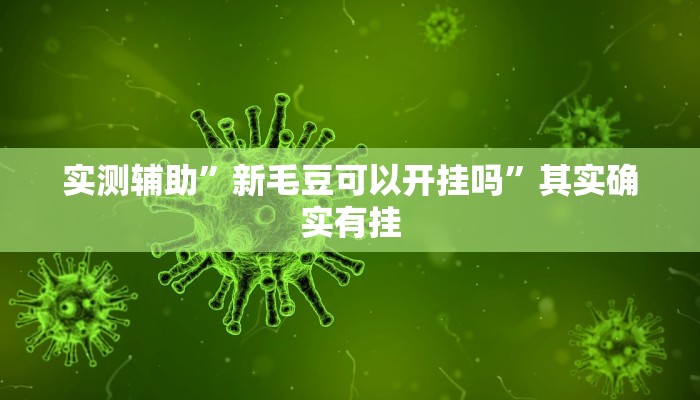 实测辅助”新毛豆可以开挂吗”其实确实有挂