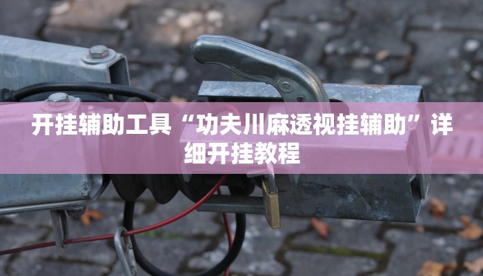 开挂辅助工具“功夫川麻透视挂辅助”详细开挂教程