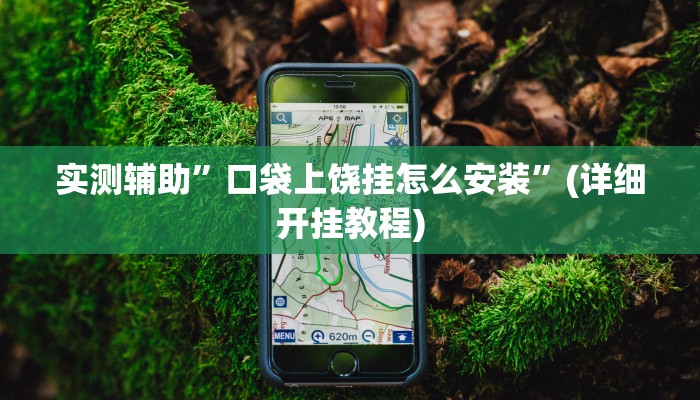 实测辅助”口袋上饶挂怎么安装”(详细开挂教程)
