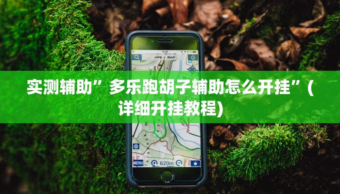 实测辅助”多乐跑胡子辅助怎么开挂”(详细开挂教程)