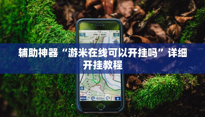 辅助神器“游米在线可以开挂吗”详细开挂教程
