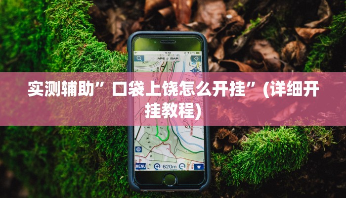 实测辅助”口袋上饶怎么开挂”(详细开挂教程)