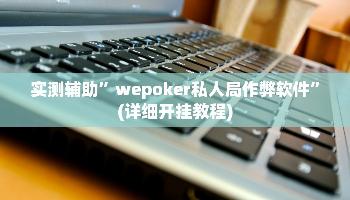 实测辅助”wepoker私人局作弊软件”(详细开挂教程)