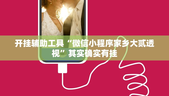 开挂辅助工具“微信小程序家乡大贰透视”其实确实有挂