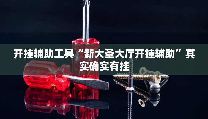 开挂辅助工具“新大圣大厅开挂辅助”其实确实有挂