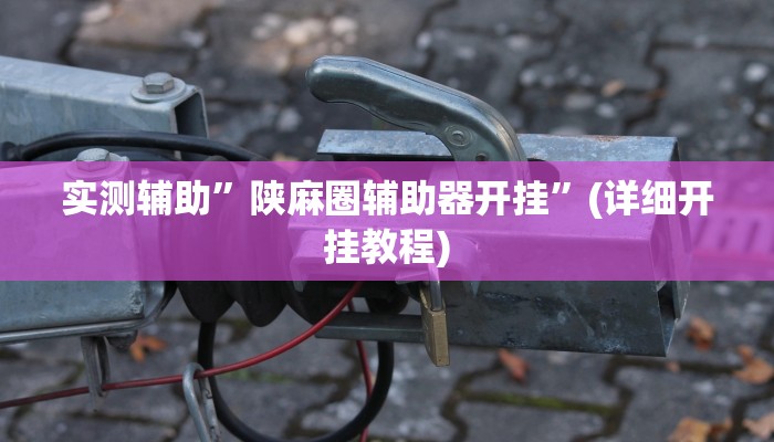 实测辅助”陕麻圈辅助器开挂”(详细开挂教程)