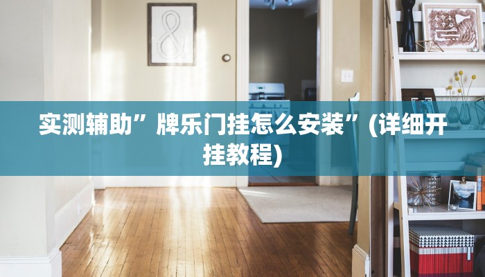 实测辅助”牌乐门挂怎么安装”(详细开挂教程)