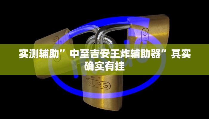 实测辅助”中至吉安王炸辅助器”其实确实有挂