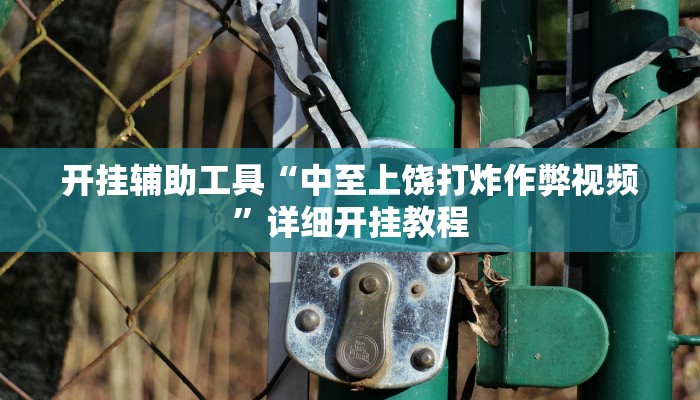 开挂辅助工具“中至上饶打炸作弊视频”详细开挂教程
