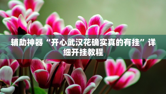 辅助神器“开心武汉花确实真的有挂”详细开挂教程
