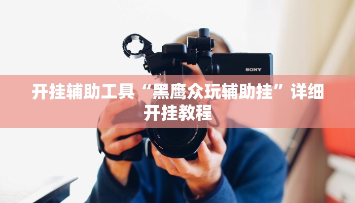 开挂辅助工具“黑鹰众玩辅助挂”详细开挂教程