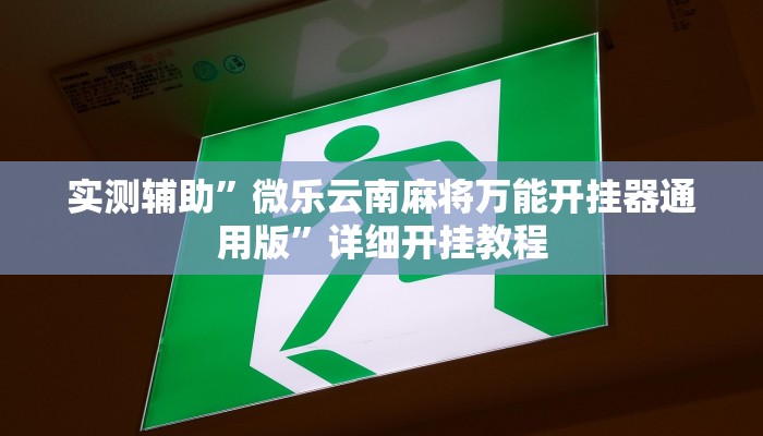 开挂辅助工具“天天卡五星辅助”其实确实有挂